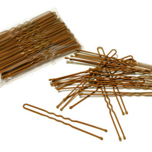 FH2 - 3 INCH HAIR PINS LT BRN