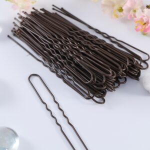 FH2- 3 INCH DK BRN HAIR PIN