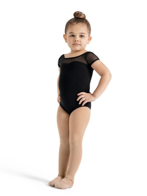 MESH YOKE SHORT SLEEVE LEOTARD